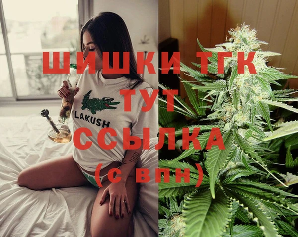 СК Алзамай