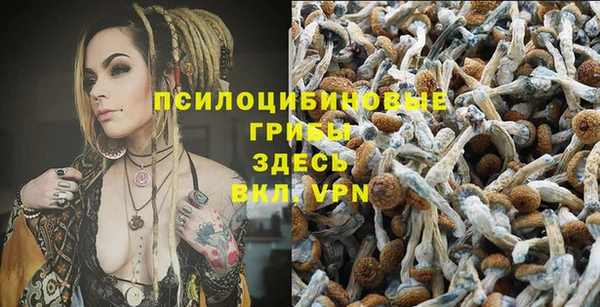 Альфа ПВП Алексеевка